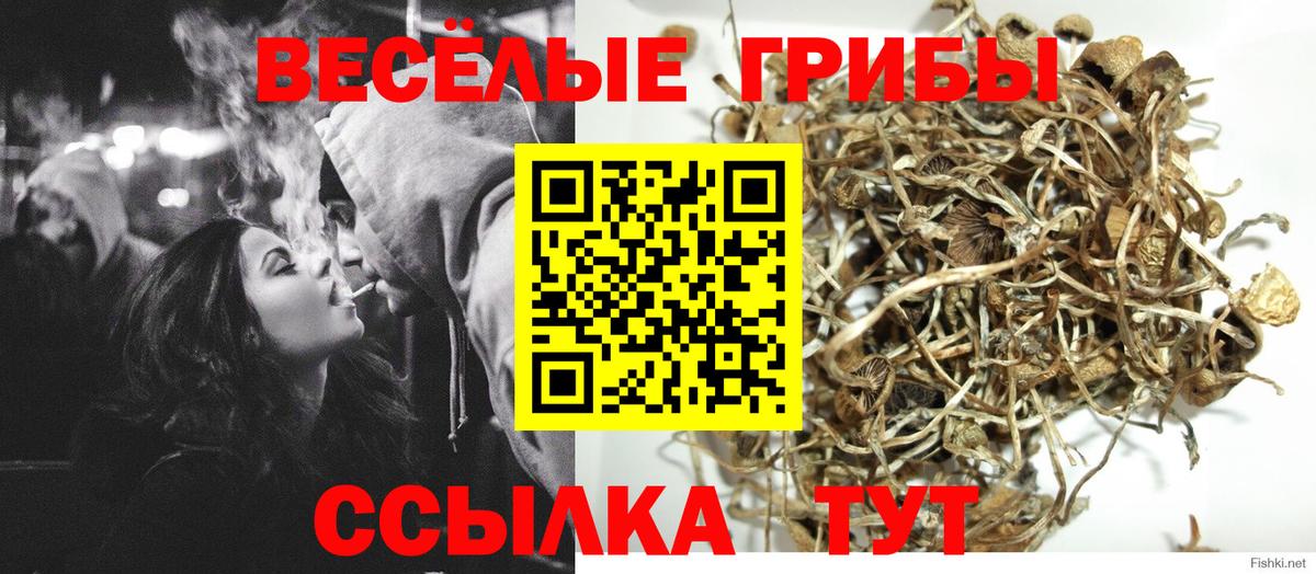 Галлюциногенные грибы ЛСД Красный Сулин