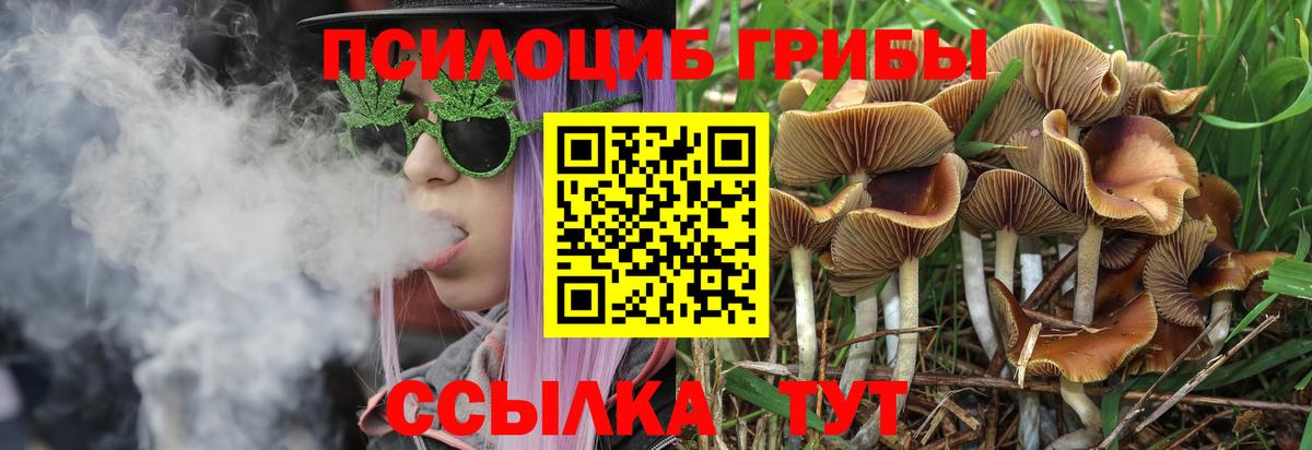 Галлюциногенные грибы MAGIC MUSHROOMS  где продают наркотики  Красный Сулин  Вход с VPN 